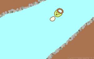 かっぱの川流れ - わきっちょ