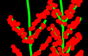 Merry Christmas - 笹谷正博 