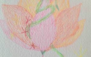 スペード　スペード - 【イベント】Challenged Artist Project【2025】 