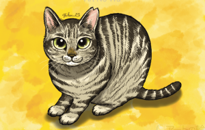 モモちゃん店長 - Yukari 