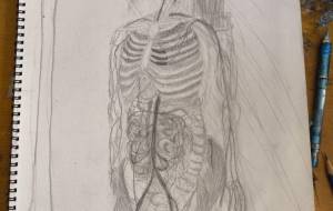 特にありません。 - 優 