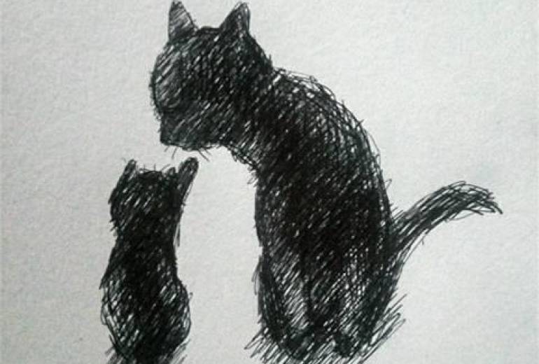 耳の不自由なおかあさん猫、我が子が愛しくて