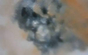 聖神病の幻影、神よ私は母の胎であなたを愛してました、貴方が下さった病ですか、あなたは光の中、あなたは言いますイエスと - 真鍋哲地