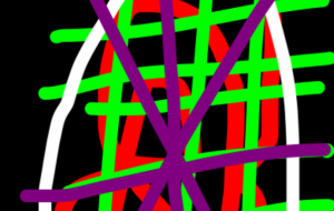 バズるたい - 笹谷正博 