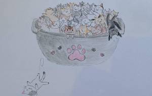 溢れる猫鍋 - 朝日奈 楓 