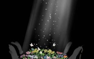 クラブ　一筋の光 - 【イベント】Challenged Artist Project【2025】 