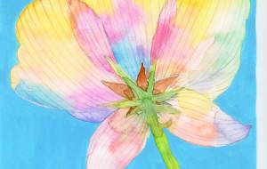 クラブ　春の光　 - 【イベント】Challenged Artist Project【2025】 