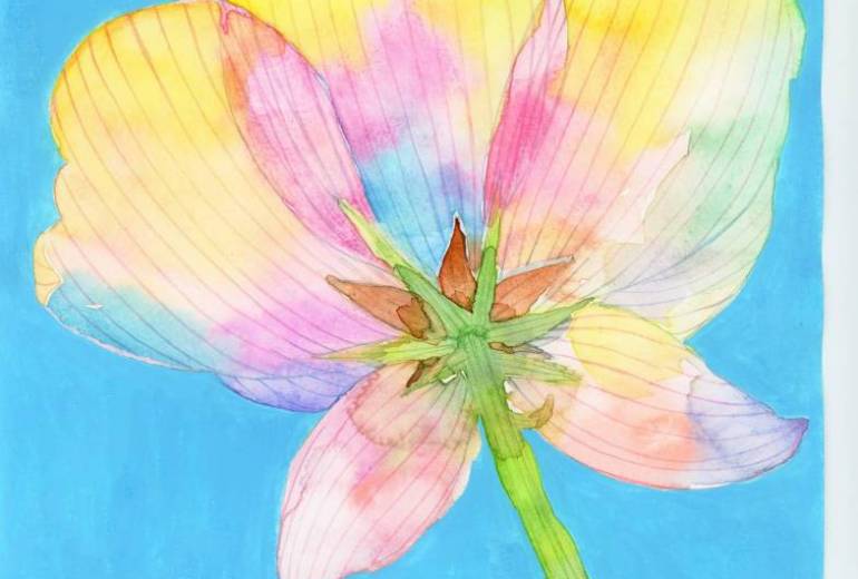 クラブ　春の光　