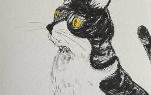 野良猫の気持ち - 喜子