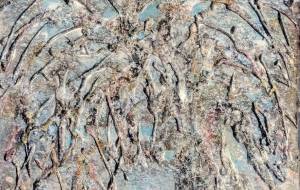 雪桜 - 久保田　俊 