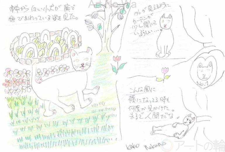 車中から見た白い子犬