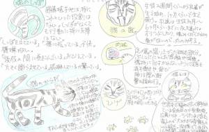 猫について2 - 中野けい子