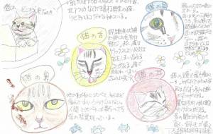 猫について - 中野けい子