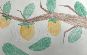 柿の木の葉 - kouki