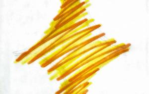 ダイヤ　ダイヤな気持ち - 【イベント】Challenged Artist Project【2025】 