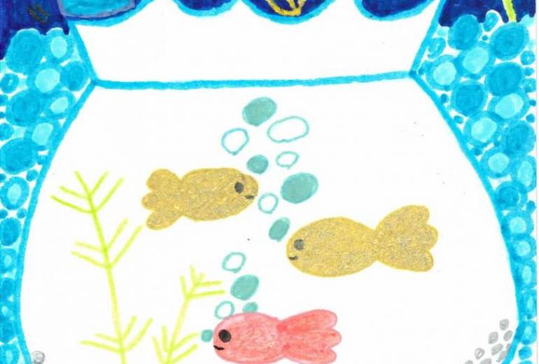 ダイヤ　憧れの金魚鉢