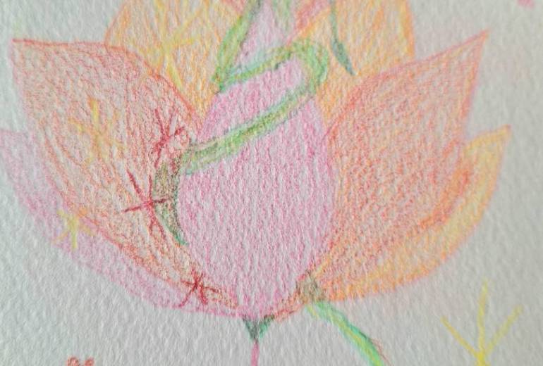 スペード　精一杯、伸びていく