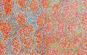 ほしがき - YO!HEY! 