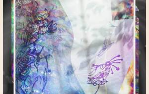 深海を泳ぐ - しょも 