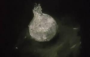 暖かい玉ねぎスープを愛する人に（女性）に作ってほしいよ、そんな人と将来的に結婚したいです - 真鍋哲地 