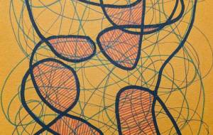 みかん食べ過ぎ - つし 