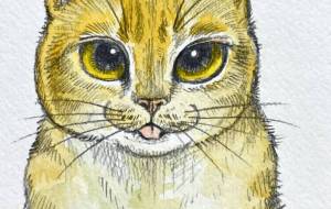 あっかんべー - Yukari 