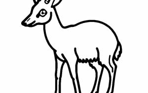 キルクディクディク - シマハイエナ 