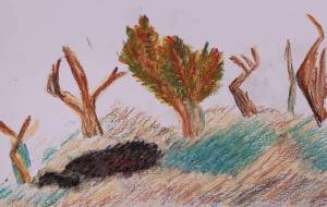 うねる木々 - シロネコムサシ 