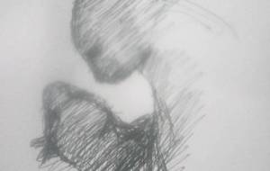 野良猫レクイエム、亡くなった我が子から離れな母猫、悲愛 - 真鍋哲地 