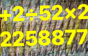 暗号？？ - 笹谷正博 