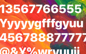 アールブリツト挑戦 - 笹谷正博