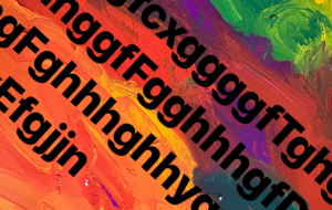 アールブリツト挑戦 - 笹谷正博