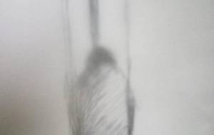 母さん、母さん、僕の、愛しい笑顔、笑顔が永遠に、母ちゃん嫌だよ、母ちゃん嘘だと言ってよ、母ちゃん嘘だと言ってよ嘘だと言って - 真鍋哲地