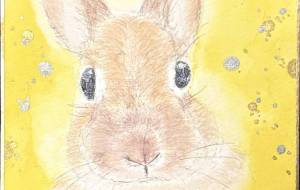 ダイヤ ふれる心のひかり - 【イベント】Challenged Artist Project【2025】