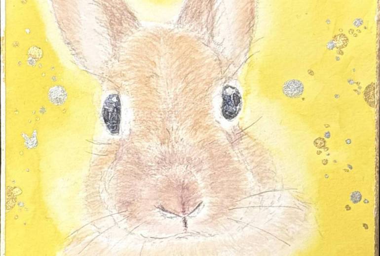 ダイヤ　ふれる心のひかり