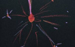 線香花火 - つし 