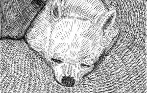 ありがとうマリア - H.164 