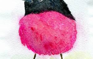 可愛い鳥 - Pikoruna 