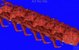 目一杯の蟹を - Yukihiro Sato 