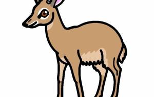 キルクディクディク - シマハイエナ