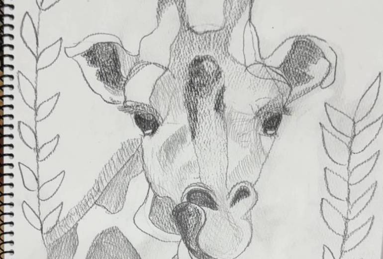 クラブ　自然との共存