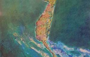 スペード　進む力 - 【イベント】Challenged Artist Project【2025】 