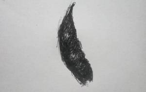 愛する障がい者の人達の家庭菜園の野菜、豆（障がいや者ドローイングボールペン画作品） - 真鍋哲地 