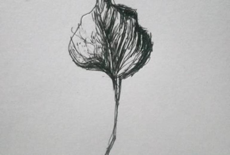 障がい者 楽園 枯れ葉、愛しい笑顔