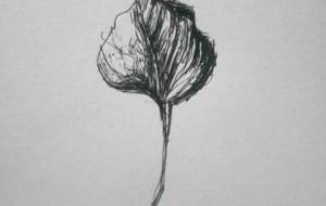 障がい者 楽園 枯れ葉、愛しい笑顔(愛しい障がい者ドローイング絵画作品!!) - 真鍋哲地