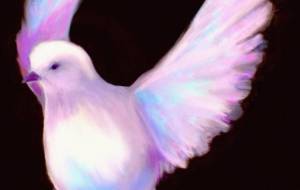 ハート　幻想鳩 - 【イベント】Challenged Artist Project【2025】 