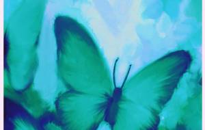 クラブ　翠の群れ - 【イベント】Challenged Artist Project【2025】 