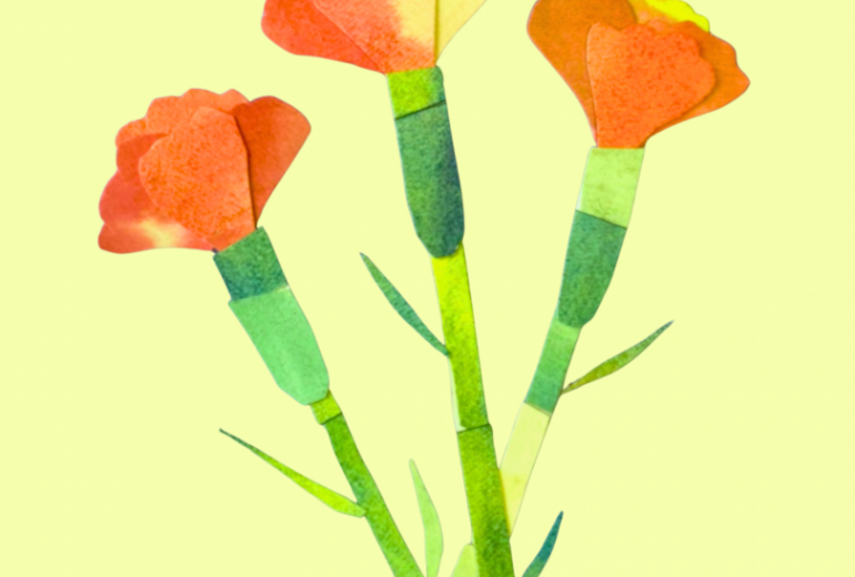 ハート　母に送りたかったカーネーション