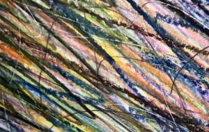 アールブリツト挑戦 - 笹谷正博