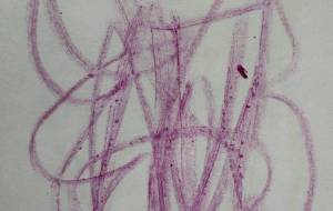 アールブリツト挑戦 - 笹谷正博 